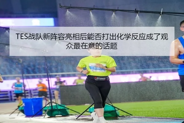 TES战队新阵容亮相后能否打出化学反应成了观众最在意的话题